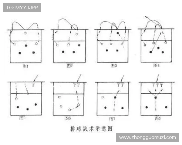 北京排球队战术实力分析排球战术排行榜揭示第七名的背后故事 北京排球队战术实力分析排球战术排行榜揭示第七名的背后故事